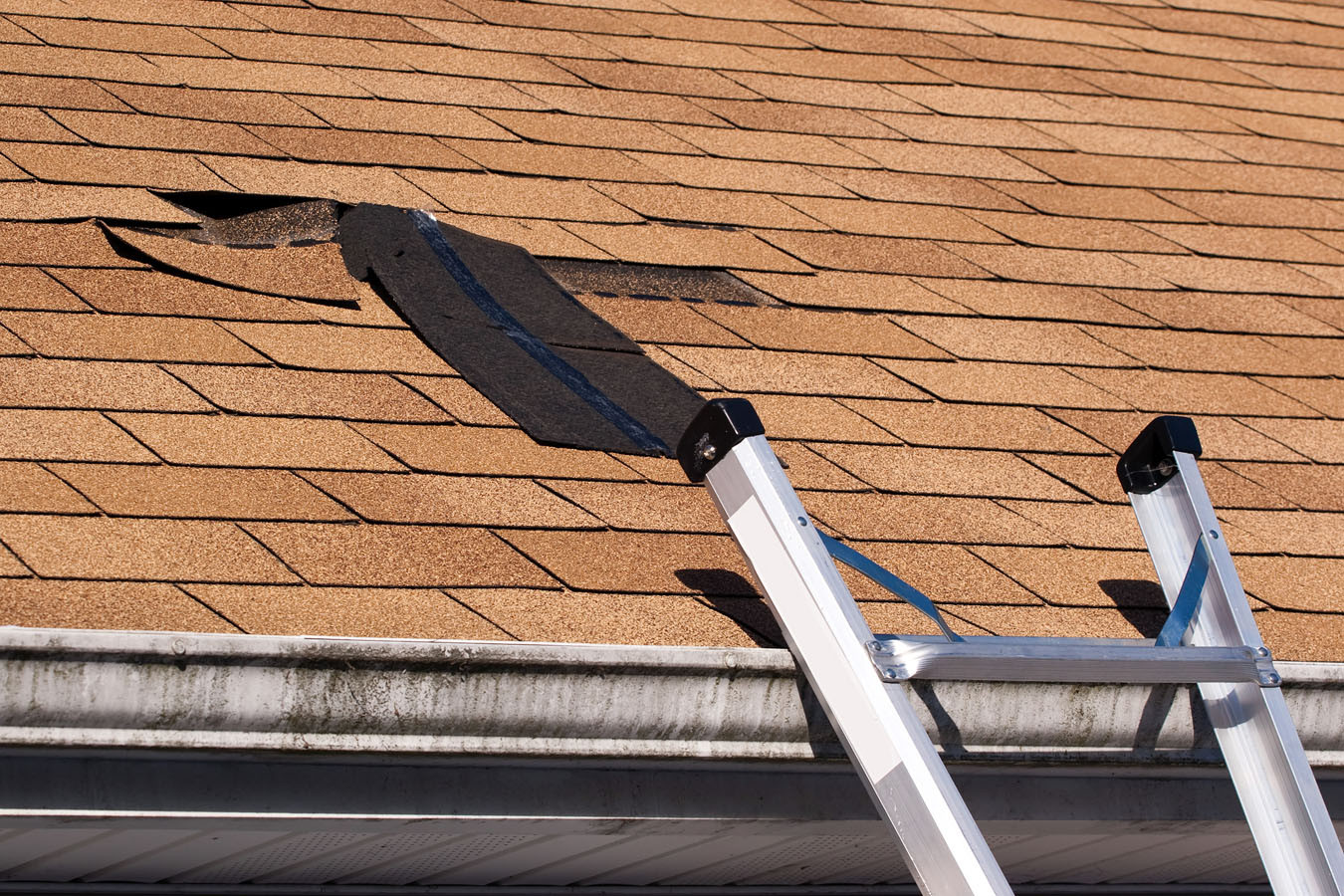 Damaged Roof Shingles Repair